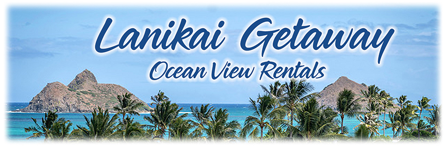 Hawaii monthly rentals by owner